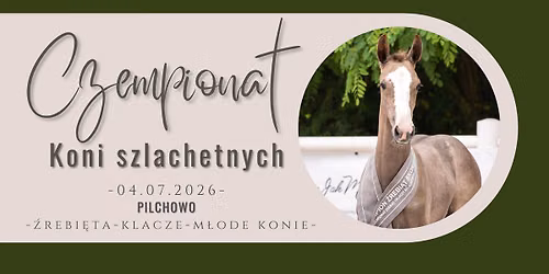 IV CZEMPIONAT KONI SZLACHETNYCH w Pilchowie