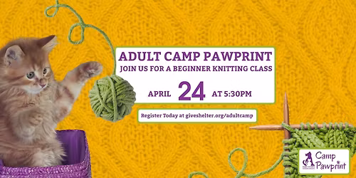 Adult Camp Pawprint - Beginner Knitting Class