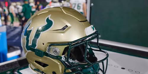 South Florida Bulls vs. Delaware State Hornets