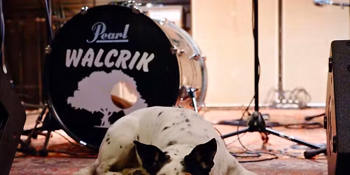 Walcrick at The Murray Bar