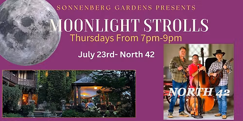 Moonlight Strolls- North 42