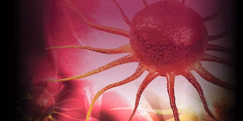 7th Annual Irwin Walker Day in Cellular Therapy and Transplant