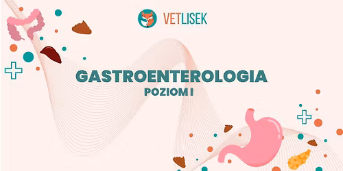 Gastroenterologia - Poziom I
