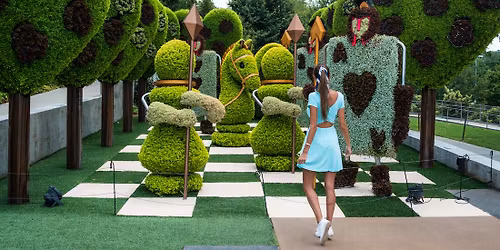 Parking Alice in Wonderland - Phoenix