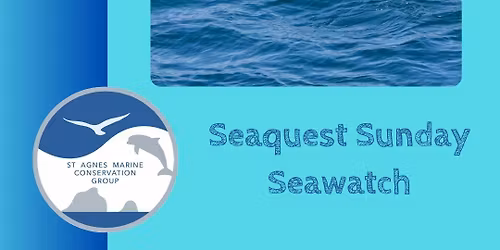 Seaquest Sunday Seawatch