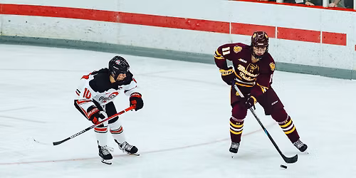 Minnesota Duluth Bulldogs Women's Hockey vs. St. Cloud State Huskies