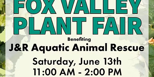 \ud83c\udf3f\u2728 Mythical Plants presents: Fox Valley Plant Fair\u2014Summer Edition! \ud83c\udf38\ud83e\udeb4