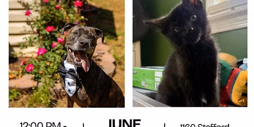 6\/27 Adoption Event at Petsmart Stafford Marketplace