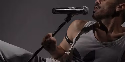 Ready Steddie Freddie