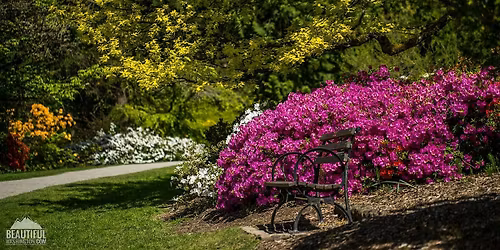 PAWA Paints Washington Park Arboretum - 2026