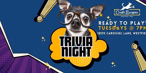 Trivia Night at the Dog Bar