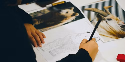 Realistic Drawing for Beginners with Lesley Bankes