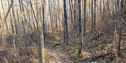 RASTA General Meeting (All are welcome!) 