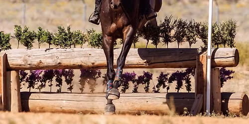 Vicki Baker Mini Clinic 5\/6 and 5\/9