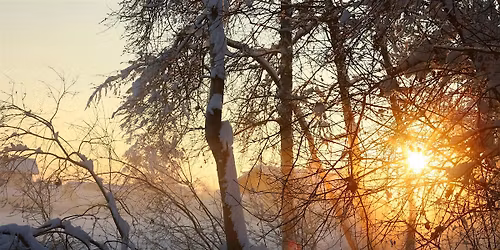 Winter Solstice Forest Therapy