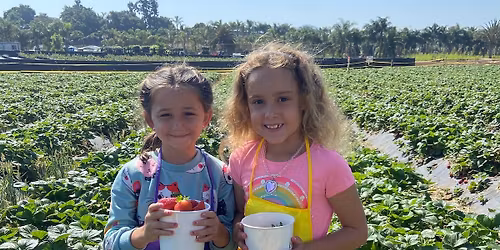 Summer Farm Camp, Session 2 (June 29-July 3, 2026) Mellano Farm Stand, Oceanside