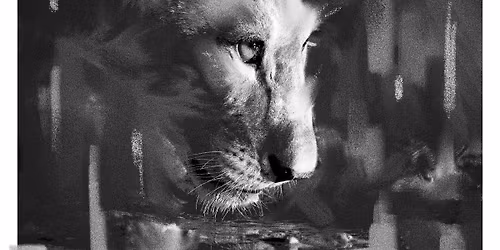 Animal Portrait in Charcoal for Beginners workshop