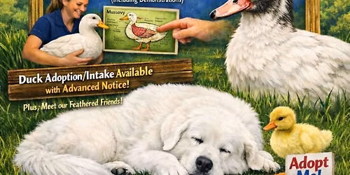 321 Waterfowl Rescue and Sanctuary Educational and Adoption Event 