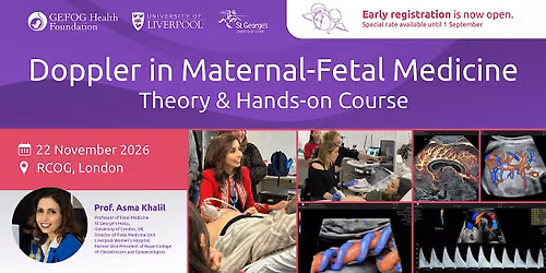 Doppler in Maternal\u2013Fetal Medicine From Theory to Hands-on Practice