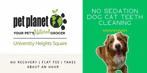 No Sedation Pet Teeth Cleaning - Saskatoon Pet Planet University Heights Square