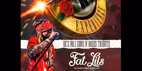 Guns N Roses Experience 