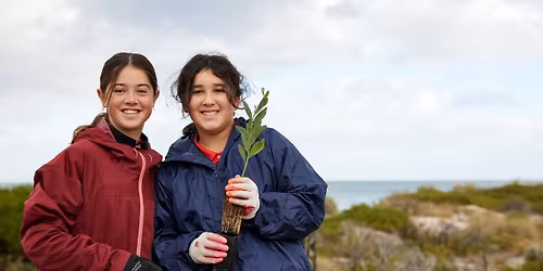 Community planting | World Environment Day