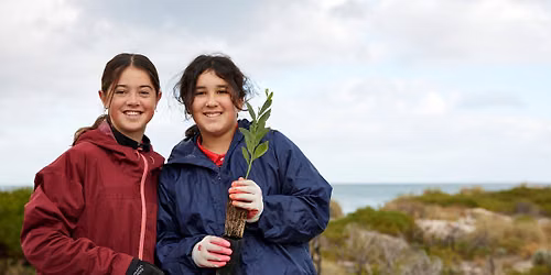Community planting | World Environment Day