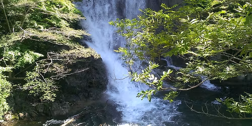 6\/20(\u571f) \u521d\u590f\u306e\u518d\u5ea6\u5c71\u30b0\u30eb\u30e1\u30cf\u30a4\u30ad\u30f3\u30b0