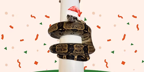 Grinchmas at Topsail Aquarium