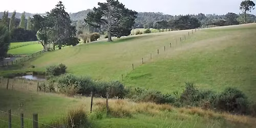 Green Road Monthly Working Bee (1st Sunday Of The Month))