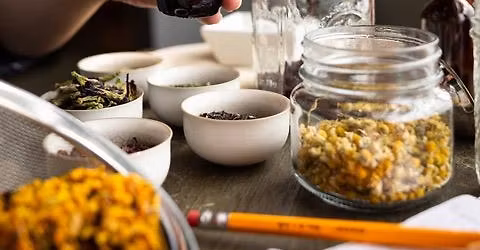 November tincture making 101 