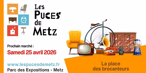 Les Puces de Metz