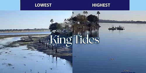 King Tides at Rose Creek \ud83c\udf0a