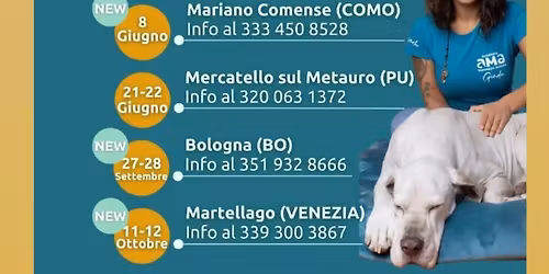 ACCADEMIA MASSAGGI ANIMALI 