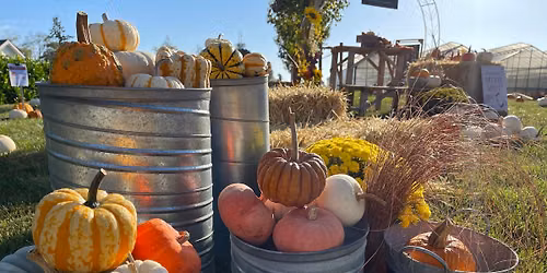 Dig & Forage Fall Festival at West Coast Gardens