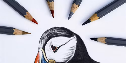 Puffin Colouring Workshop for Children Aged 9+