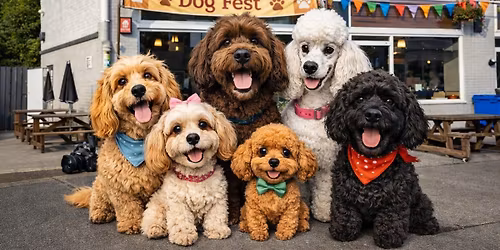 Doggy Doodle Day at The Hideaway Cafe 