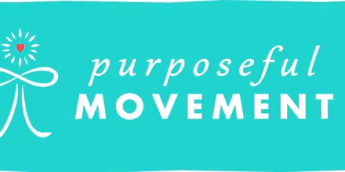 Bal-A-Vis-X 2-day training