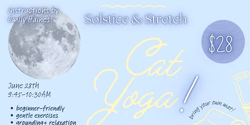 Solstice & Stretch Cat Yoga
