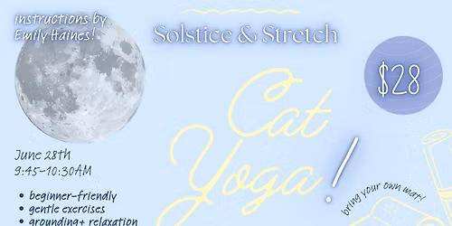Solstice & Stretch Cat Yoga