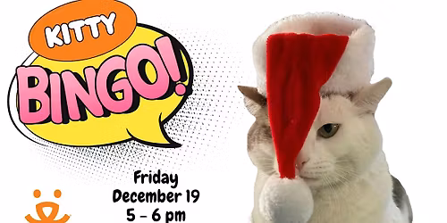 Kitty Bingo