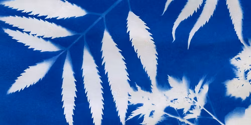 Atelier de cyanotype \/ Cyanotype Workshop