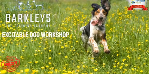 Excitable Dog Workshop 