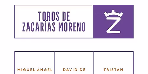 Corrida avec Trist\u00e1n Barroso \u00e0 Mont de Marsan