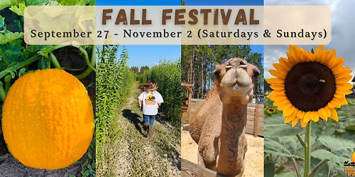 Fall Festival at Mayhem Ranch 