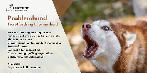 Problemhund: fra utfordring til samarbeid (ledige plasser)