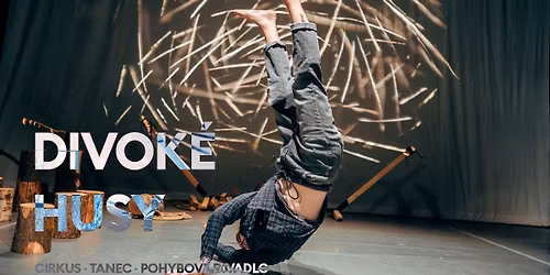 Ned\u011bln\u00ed poh\u00e1dkov\u00fd expres: DIVOK\u00c9 HUSY