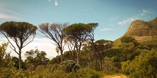 Celtic Thursday Trail - Deer Park Route