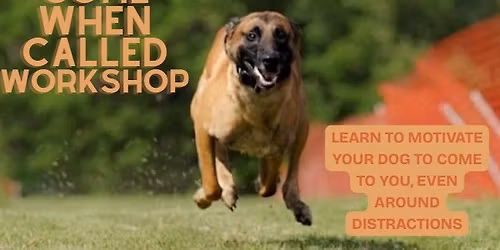 Come When Called Recall Workshop