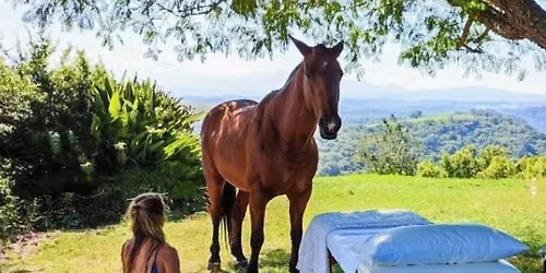Healing with Horses Colorado